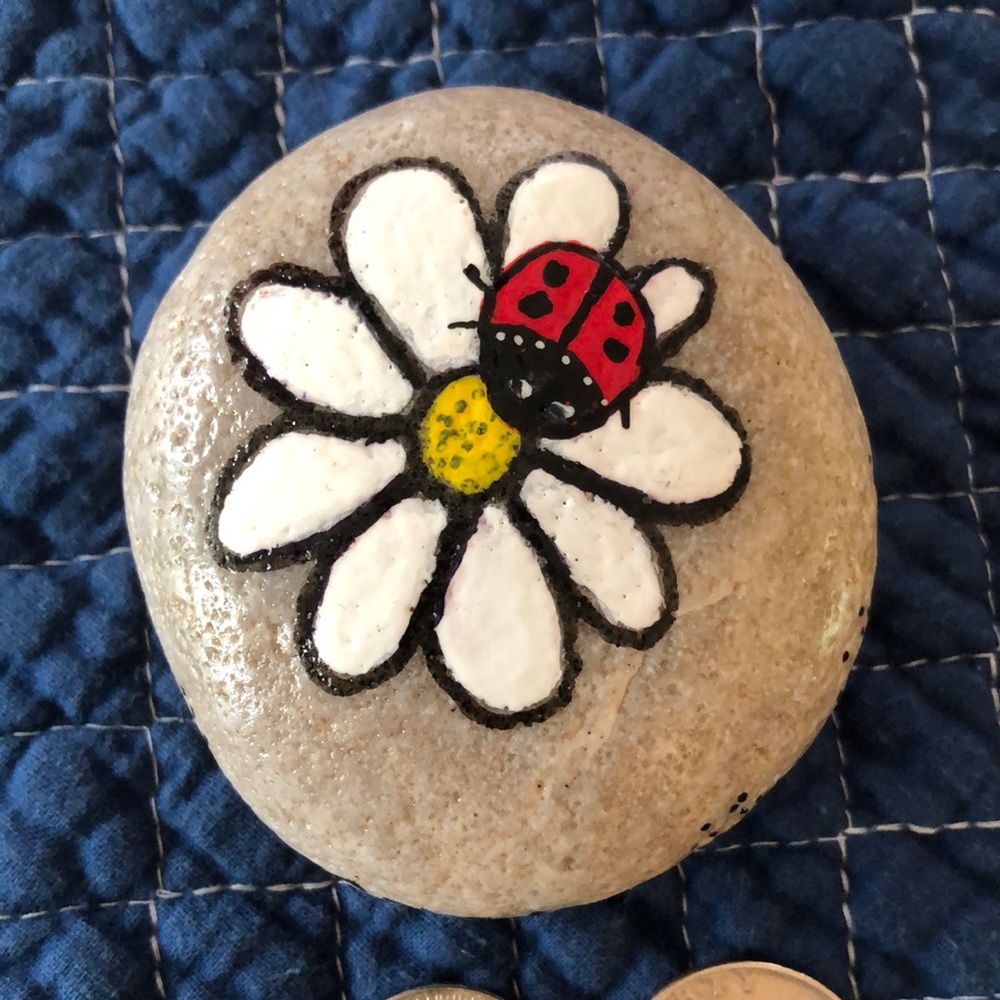 HAND PAINTED LADYBUG  DAISY ROCK